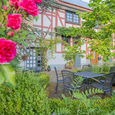 Rosengarten Apartment Allmuthshausen